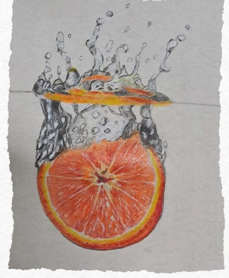 橙子與水感 · 靜物插畫