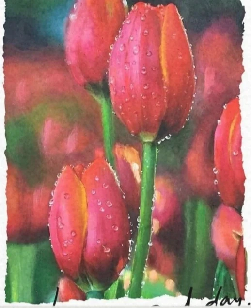 紅色花卉 · 色彩層次