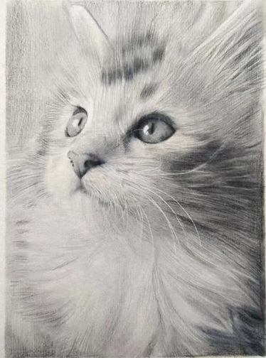 素描視覺與教學參考