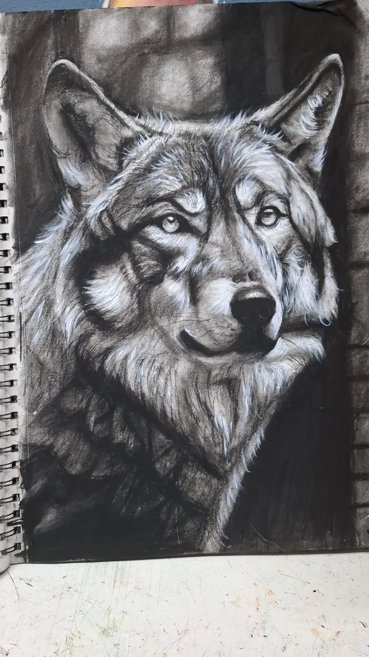 動物頭像素描 · 素描課程參考