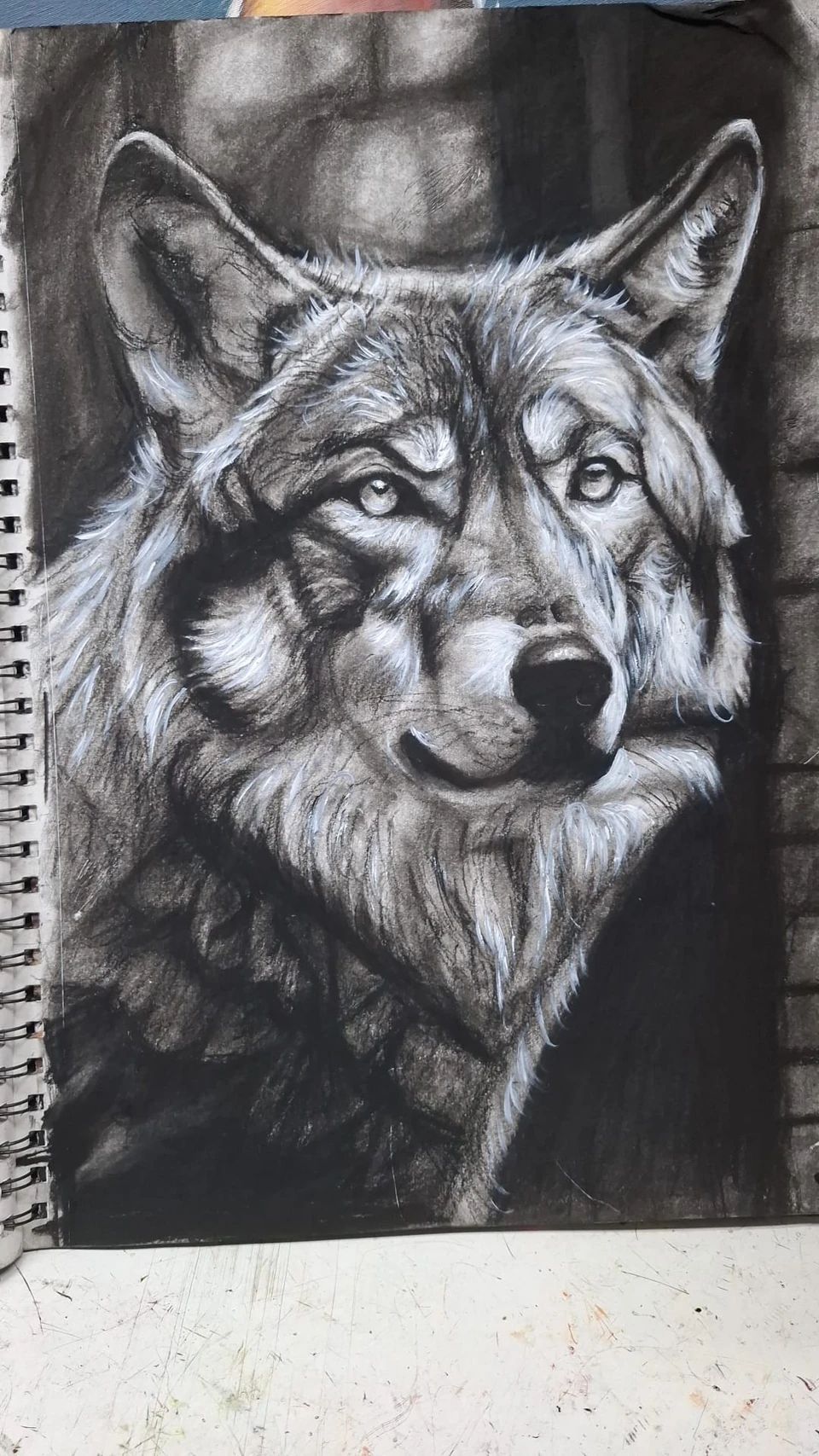 動物頭像素描 · 素描課程參考