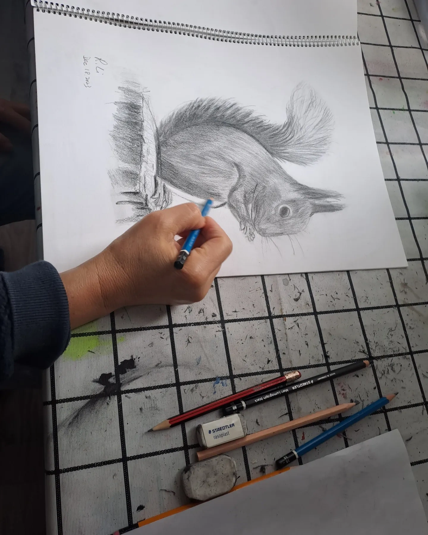 松鼠素描的練習過程